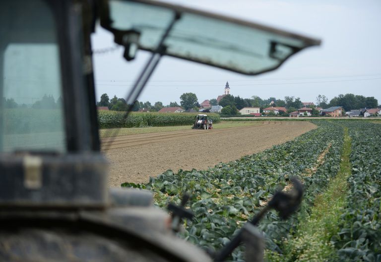 Österreichs Bauern dürfen aufatmen. 700 Millionen Euro an Förderungen fließen noch dieses Jahr. Foto: APA