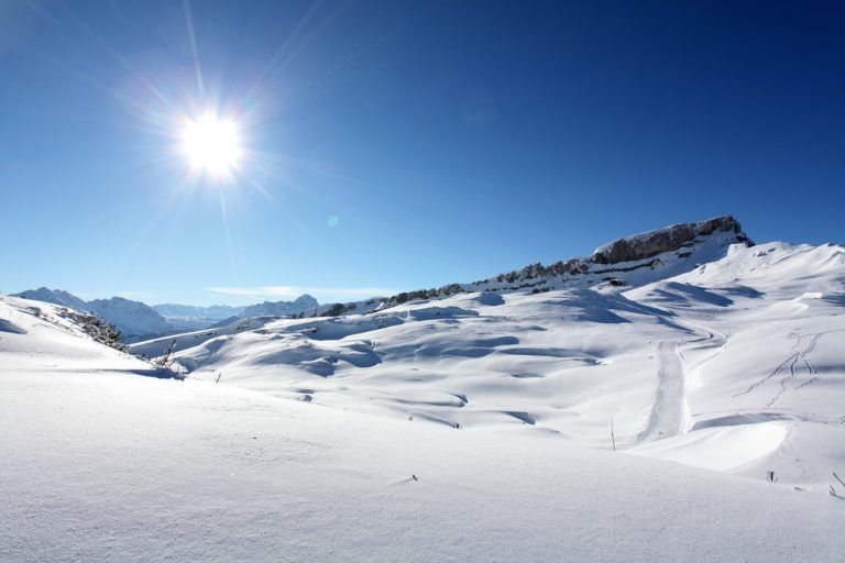 Rundweg auf 2000 mDer Gottesackerrundweg auf 2000 Metern Höhe bietet den Wanderern einen einmaligen Ausblick. Ausgangs- und Zielort des dreieinhalb Kilometer langen Panoramawegs ist die Auenhütte Hirschegg.