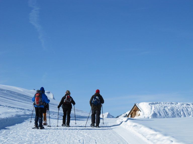 SchneeschuhwandernMit den Schneeschuhen geht es vom 30. Dezember bis 30. März jeden Mittwoch vom Faschinajoch in die Kernzone des Biosphärenparks im Tiefenwald. Am Sonntag finden Wanderungen in Sonntag-Stein statt.