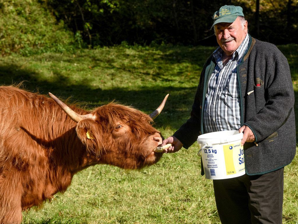 Bernie und die Zotteltiere