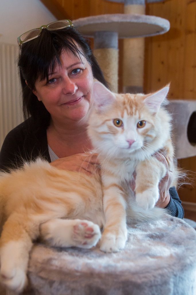 Silvia Nüesch mit der knapp einjährigen „Strawberry“. Der fehlt es noch ein bisschen an der Felllänge. Foto:vn/philipp steurer