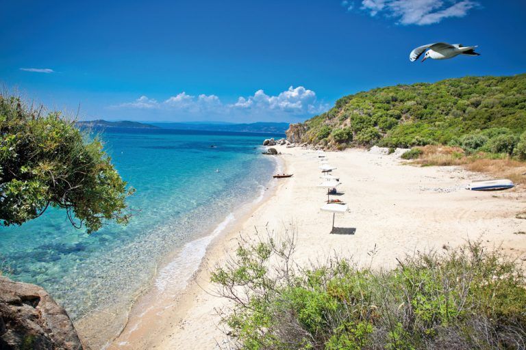 Solche Bilder hat der Griechenland-Urlauber im Kopf: Sandstrand und blaues Meer.