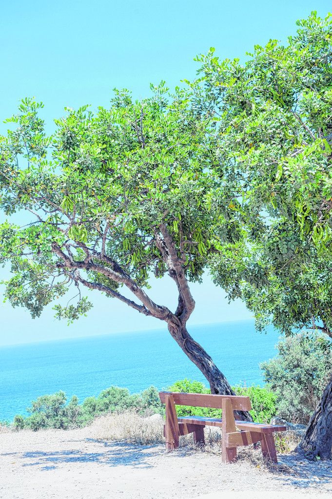 Traumhafte Aussicht aufs Meer. Fotos: Rhomberg (5), Shutterstock (2)