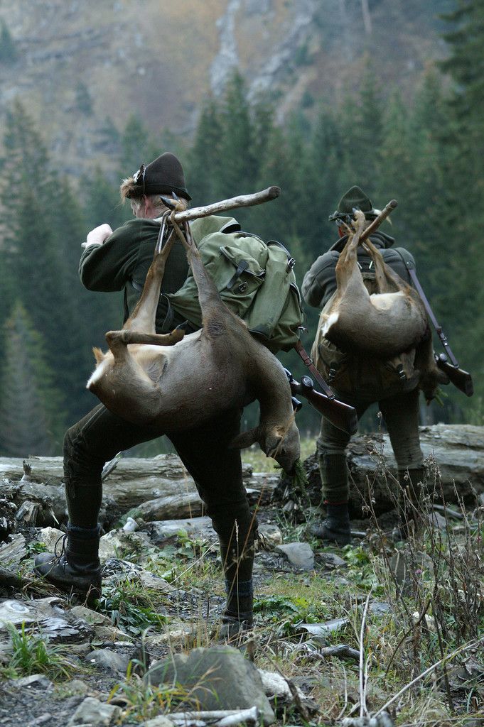 Jäger tragen in Zeiten von TBC eine ganz besonders hohe Verantwortung für einen gesunden Wald und einen gesunden Wildbestand. <span class="copyright">Berchtold</span>