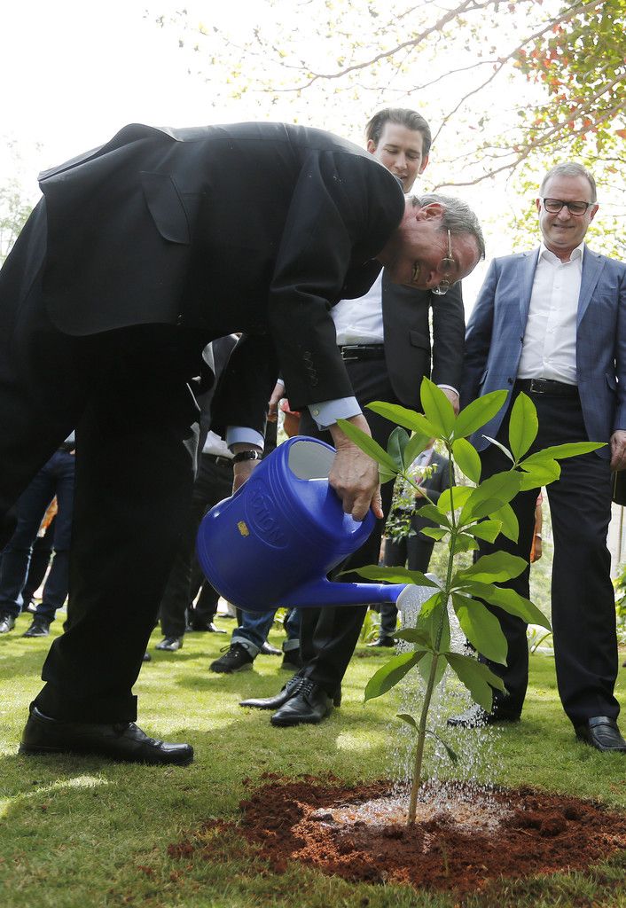 Von links: Christoph Leitl, Sebastian Kurz, Karlheinz Kopf.  Foto: APA