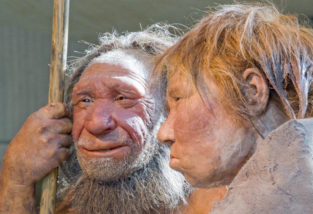 Urmenschen trugen bereits gemischte DNA