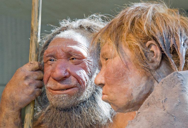 Vor Tausenden Jahren sind Neandertaler und moderne Menschen Liebeleien eingegangen und zeugten Nachwuchs. Foto: AP