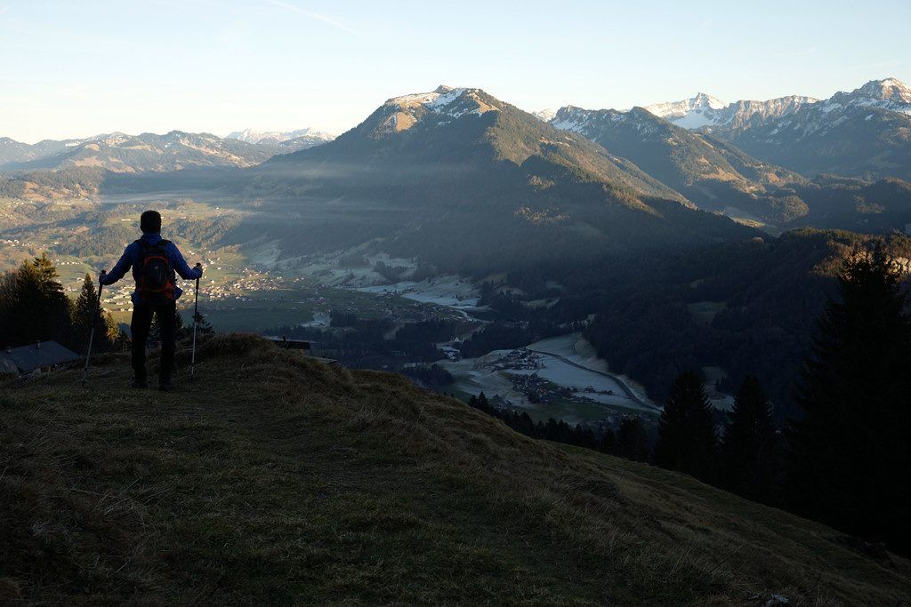 Bleibt die kalte Jahreszeit längerfristig aus, wird sich die Natur nachhaltig verändern.