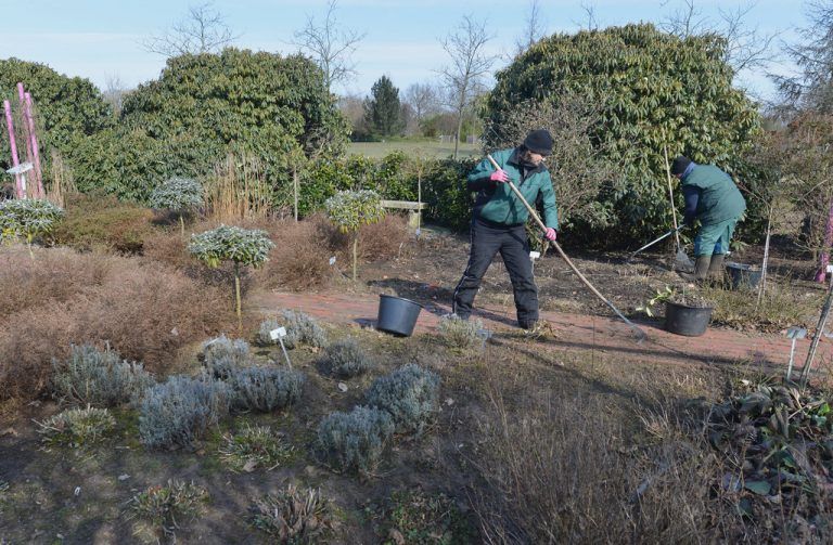 Wer bei der Gartenpflege entgeltlich hilft, ist mit dem Dienstleistungsscheck versichert. Symbolfoto: Jaspersen