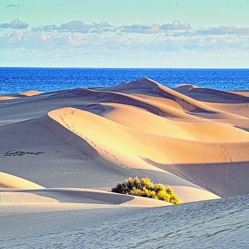 Die Dünen von Maspalomas
