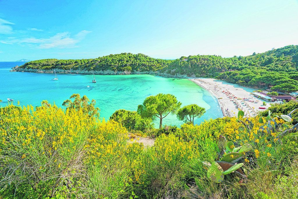 Abwechslungsreiche Natur auf Elba