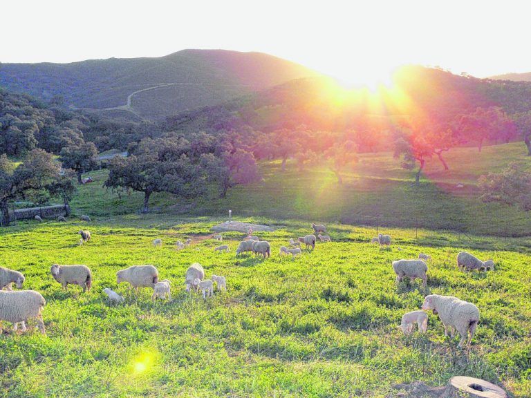 Wunderschöne Landschaft im Süden Spaniens. Foto: beate rhomberg
