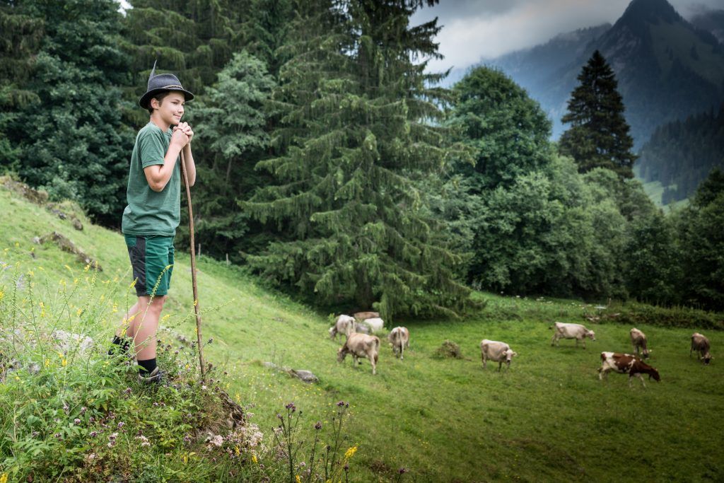 Alpauftrieb verzögert sich