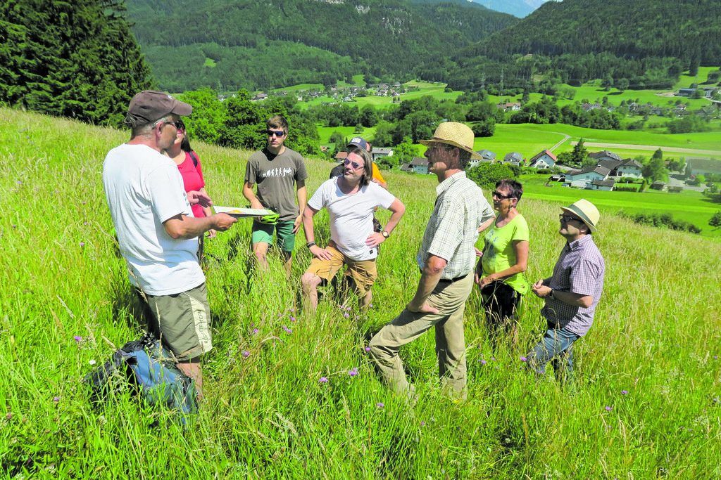 Tag der blühenden Landschaft im Ländle