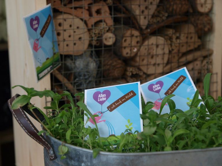 Bregenzerwälder Geschäfte bringen einen Frühlingsimpuls.