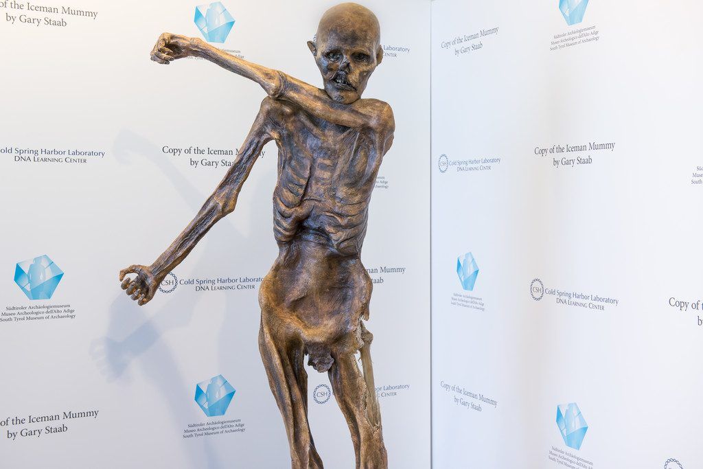 Ötzi hat ein Double
