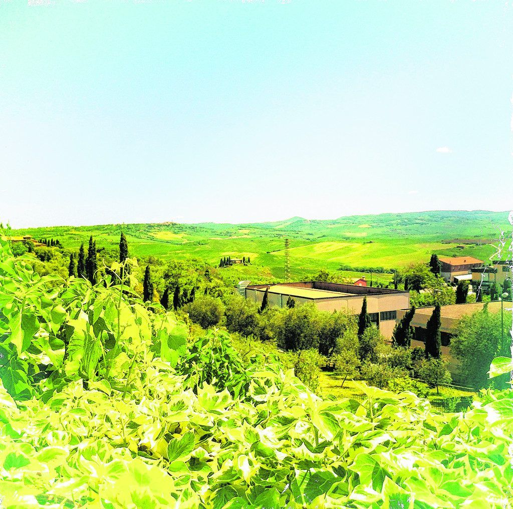 Ausflug ins nahe Val d‘Orcia