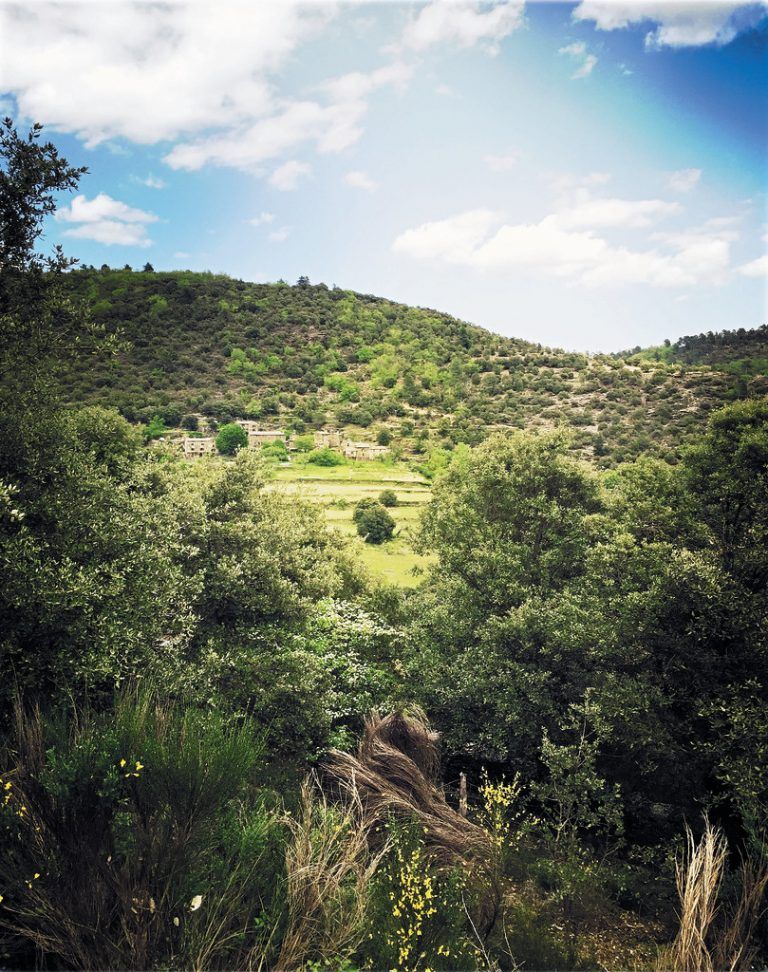 Die wildromantische Landschaft der Cévennen hat man bei einer Wanderung mit dem Esel die meiste Zeit für sich alleine. Fotos: Beate rhomberg