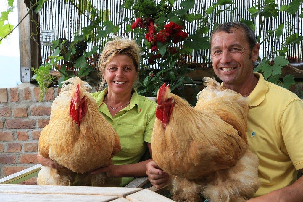Sinnvoll leben und wirtschaften im Einklang mit der Natur