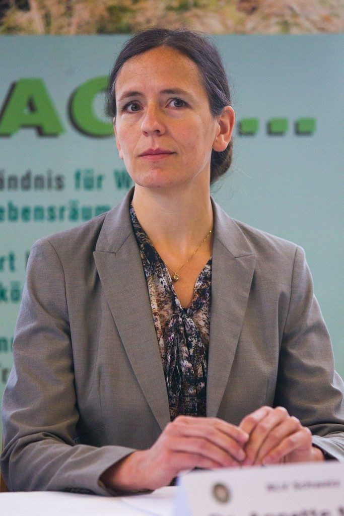 Allein und im Orchester