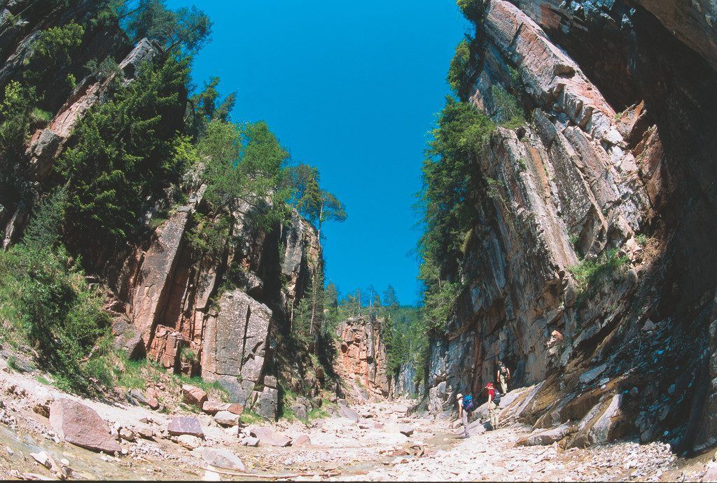 Saurierspuren in einem Canyon