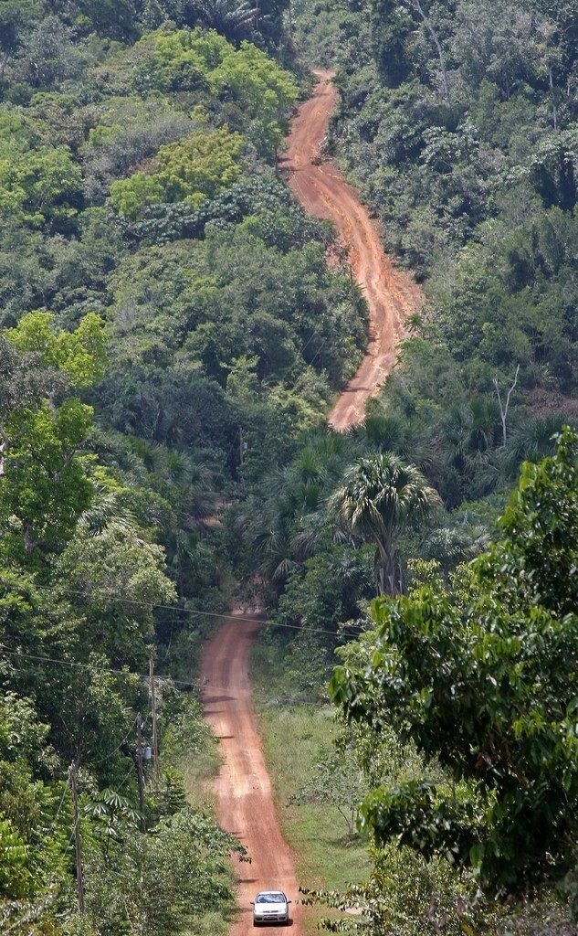Amazonas-Regenwald droht riesiger Waldverlust