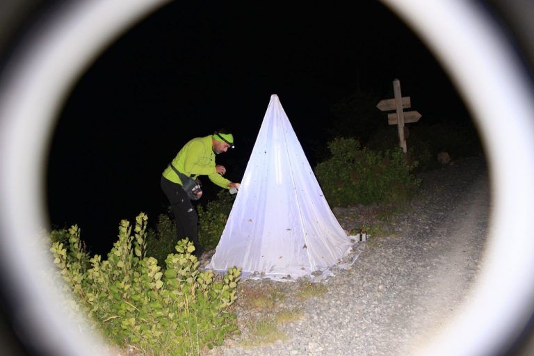 ￼ DAS SOLLTEN SIE NICHT VERPASSEN