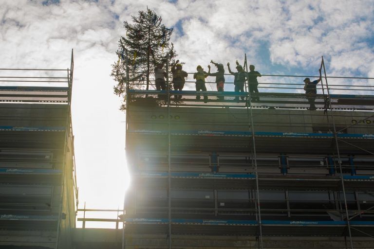 Ein Baum für den Millionenbau