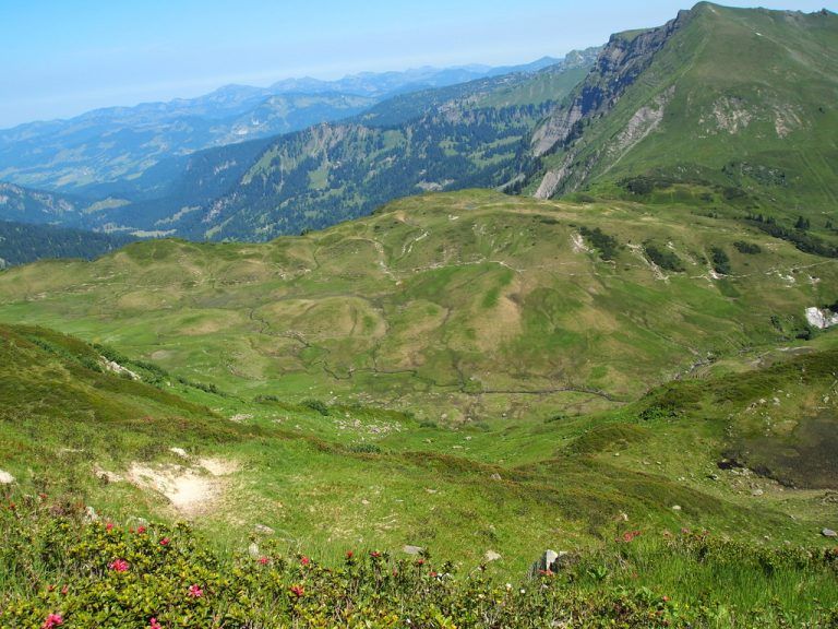Berge, Moore und mehr