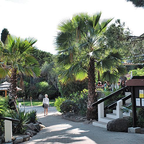 Feriendorf im Naturpark