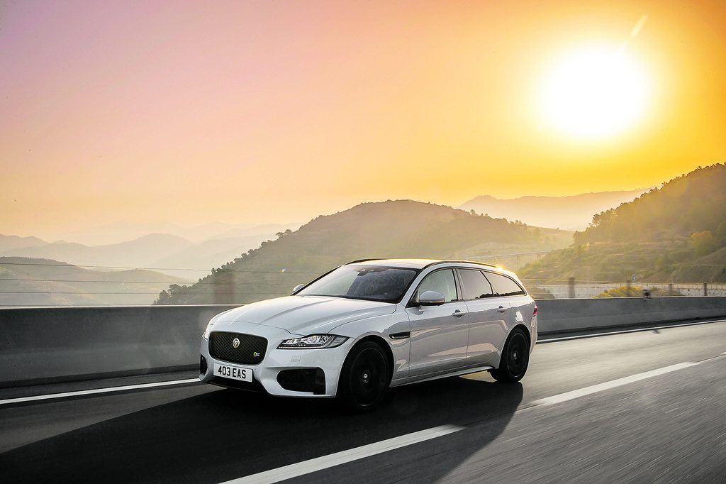 Rucksack-Katze mit Performance-Appeal