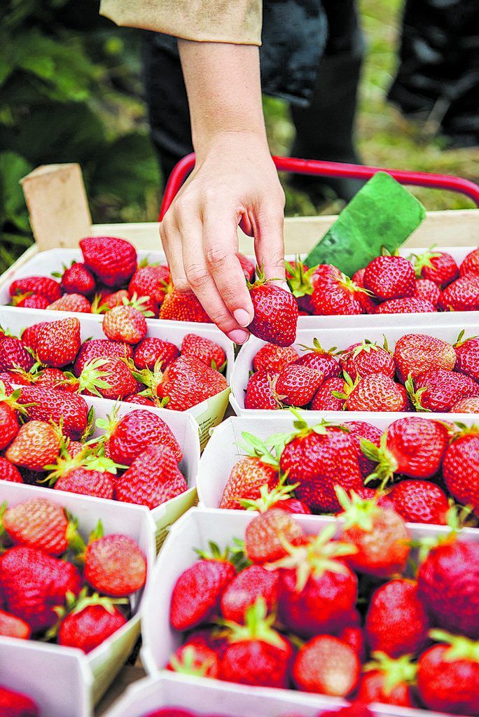 Mehr als 1500 regionale Partner