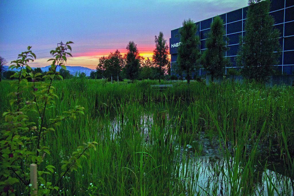 Welt im Wandel durch Bürgerinitiativen