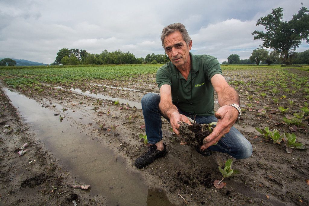 Dauerregen hat heimischen Landwirten hart zugesetzt. Jetzt Furcht vor großer Hitze.