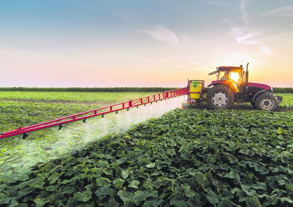 „Es ist genug für alle da“