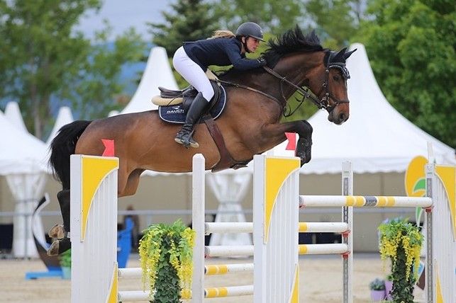 Springreiten: Monika Niederländer mit neun Top-3-Platzierungen