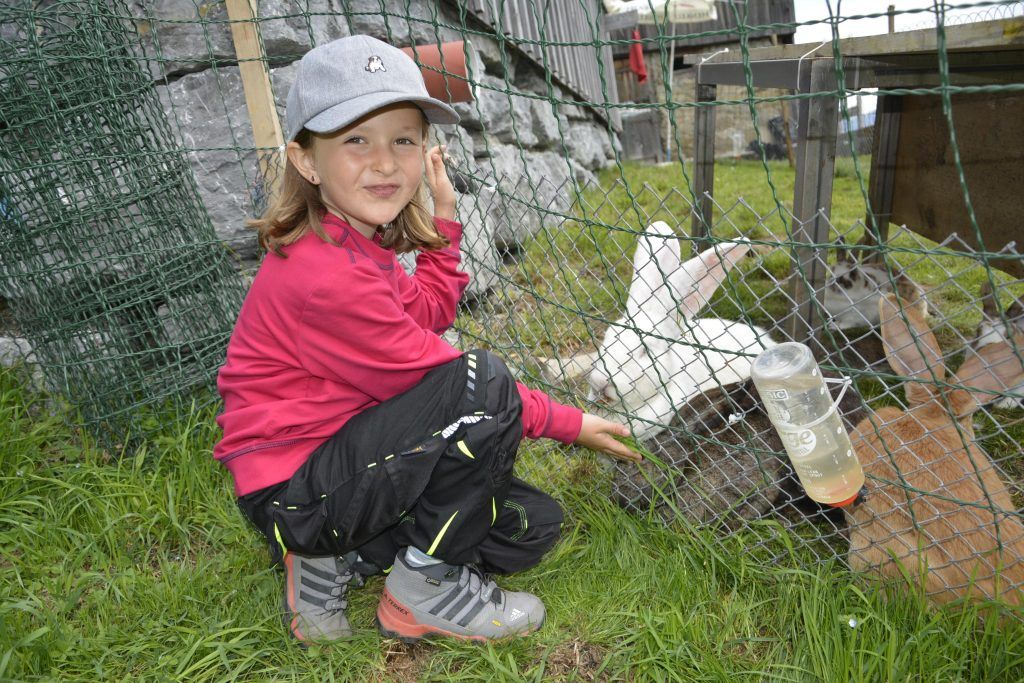 Großes Fest  auf kleiner Alpe über Dornbirn