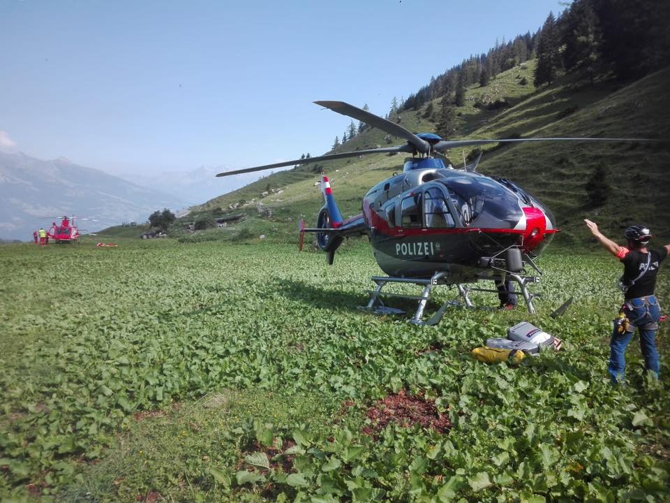 Auf der Alpe in den Tod gestürzt