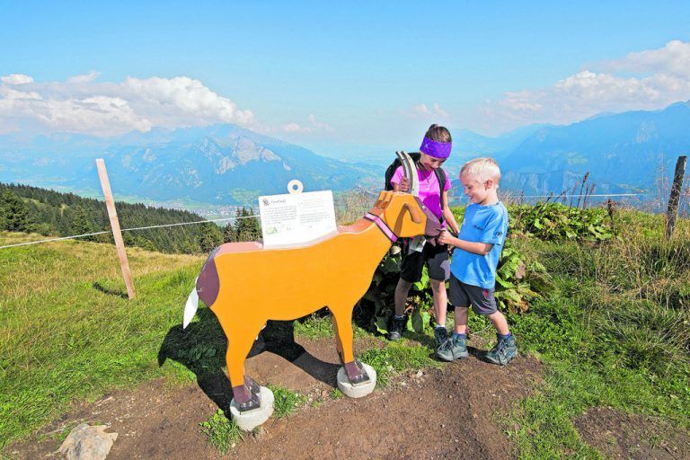 Am Pizol (Gondelbahn Bad Ragaz) auf den Spuren von Heidi, Klara, Alm-Öhi und Ziegenpeter wandern Seit Generationen fasziniert die Geschichte der kleinen Heidi Groß und Klein. Auf dem Heidipfad am Pizol kann man Johanna Spyris Geschichte neu entdecken. Das Erlebnis beginnt bei der Talstation Bad Ragaz, wo kleine Ziegenställe und die Heidi-Gondeln auf Heidi einstimmen. Auf dem gut ausgebauten Rundwanderweg gilt es Peters Ziegen zu finden und spannende Aktivitäten zu erleben, wie den Alpruf oder den Geißensprung. Unterwegs laden Spielplätze und Feuerstellen zum Verschnaufen ein. Perfekte Entspannung wartet im Hängemattenwald.