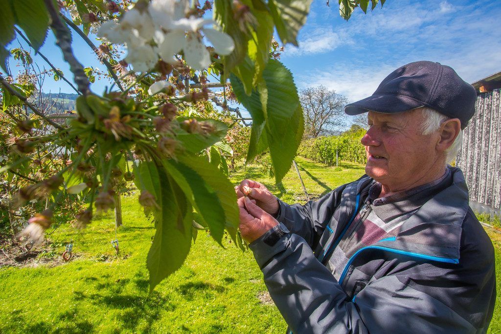 Der hoffentlich letzte Angriff der Kälte auf Garten und Acker steht unmittelbar bevor.