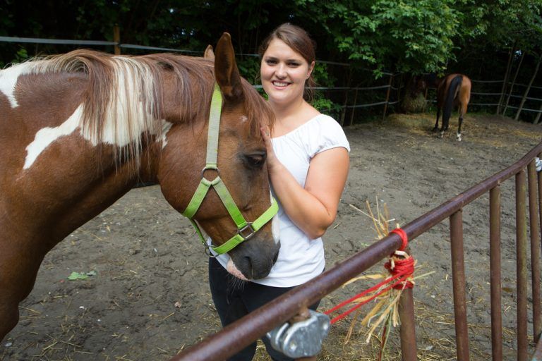 Aragon ist das erste Pensionspferd im Stall von Corina Elmenreich. Hier in Alberschwende haben die Tiere viel Auslauf. Foto: VN/Hartinger