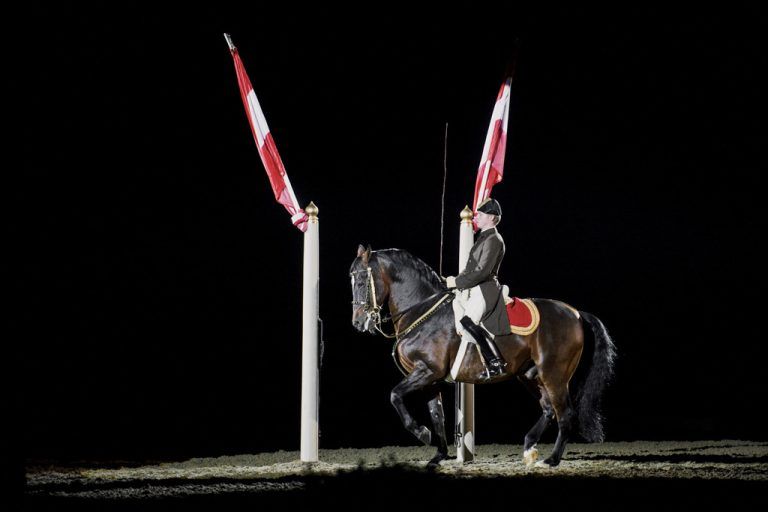 Auch die Spanische Hofreitschule setzt auf eine 