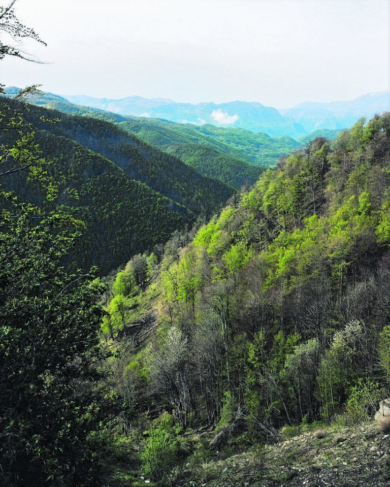 Berge, Schluchten und dichte Wälder prägen das Landschaftsbild von Montenegro im Landesinneren. Fotos: Beate Rhomberg