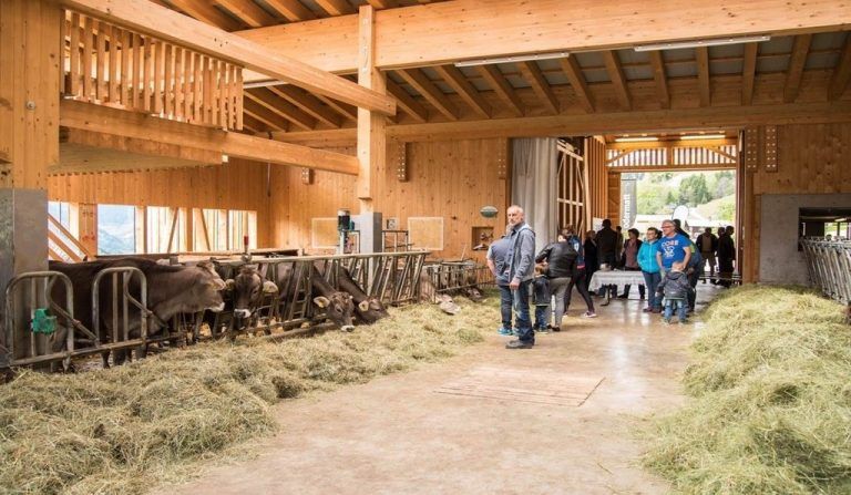 Biobetrieb Ganahl
            Beruflicher Umgang. Der Bioheumilchbetrieb (Futter: Gras/Heu) von Oswald Ganahl in Bartholomäberg ist offen für alle.