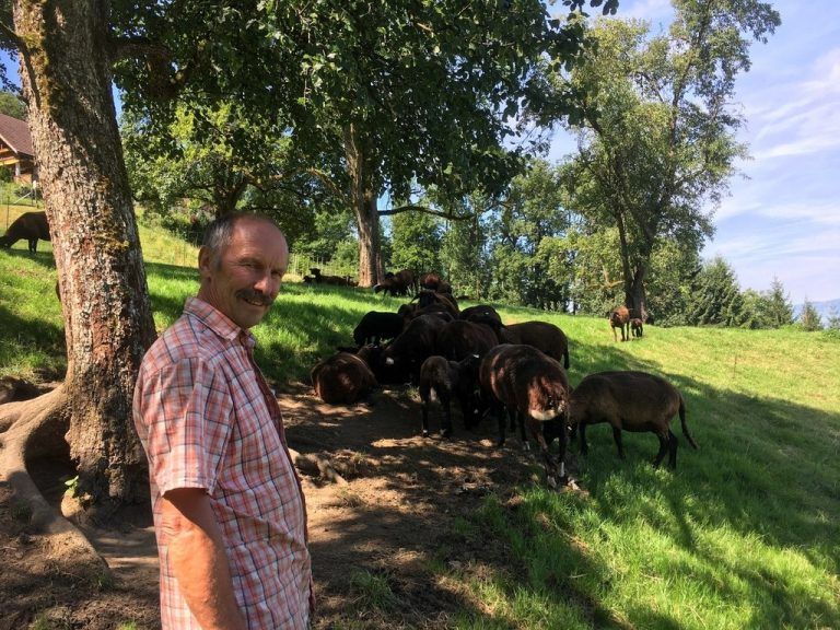 Biohof Mähh und Summ
            Beruflicher Umgang. Anton Märk aus Hohenems praktiziert biologische Wirtschaftsweise im Naturkreislauf.