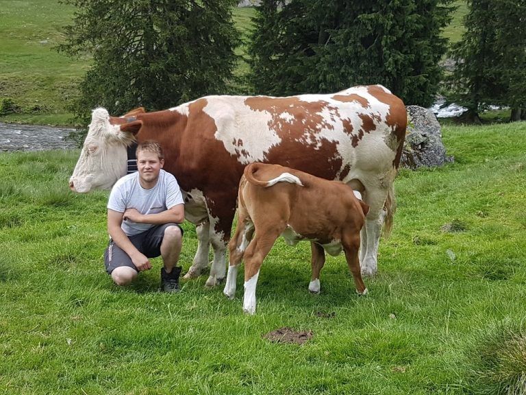 Biohof Vaschauner
            Beruflicher Umgang. Ingo Vaschauner betreibt Mutterkuhhaltung im Nebenerwerb als selbstständiger Landschaftspfleger.