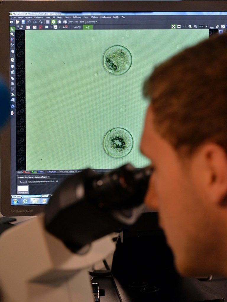 BiotechnologieDie Errungenschaften der Biotechnologie zählen ethisch zu den meistdiskutierten, können der Medizin aber zu neuen Möglichkeiten verhelfen. Die Vision: Implantierte Sensoren oder Chips sollen Diagnose und Behandlung in Zukunft deutlich vereinfachen.