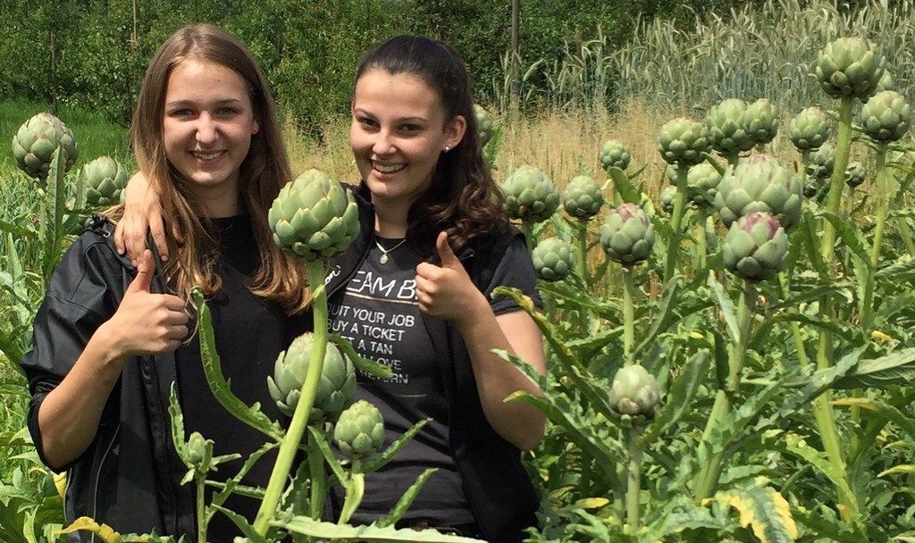 Ein konsequent gesunder Ländle-Weg