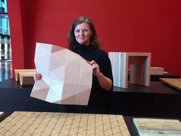 Christine Bärnthaler hat die Holz-Sonderausstellung bei der com:bau organisiert. Mef