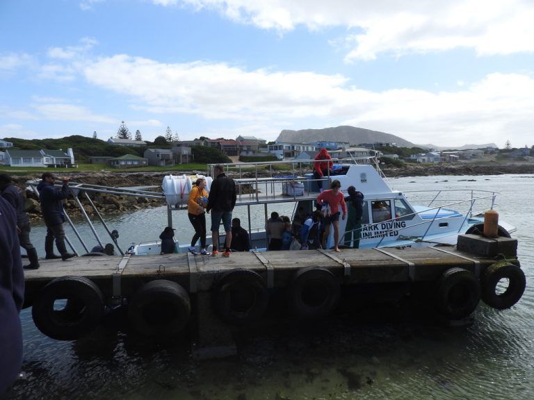 Das Boot geriet auf dem Weg zum „Shark diving“ im offenen Meer in starke Turbulenzen, mit schweren Folgen für die Konstanzer.